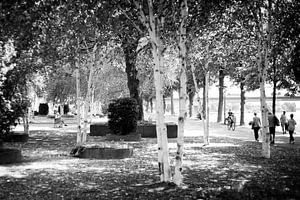 Lekker chillen in het Charles Eyckpark in Maastricht