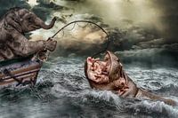 elephant catches hippo