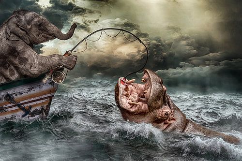 Elefant fängt Nilpferd