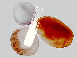 Skandinavischer Strand von Mad Dog Art