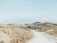 Dunes | Landscape | Sea | Zeeland | Holland