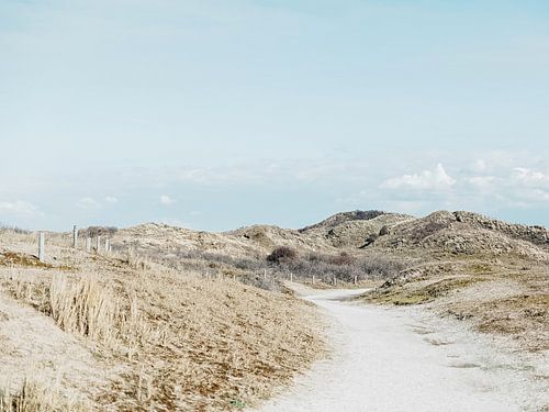Dunes | Landscape | Sea | Zeeland | Holland