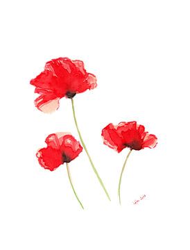 Trois coquelicots rouges sur Karen Kaspar