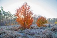 Herbstlandschaft