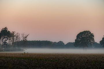 mist over de akkers van Tania Perneel