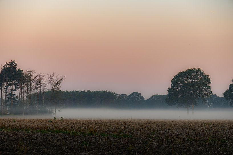 fog over the fields by Tania Perneel