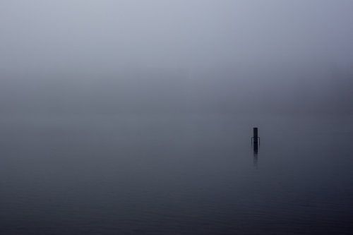 Mist over de Rijkerswoerdse Plassen