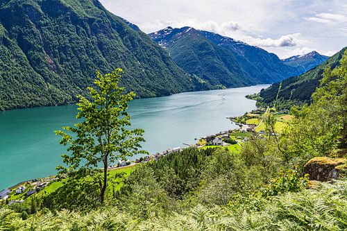 Uitzicht op de Fjærlandfsjord in Noorwegen