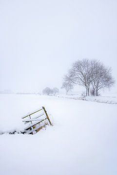 Minimalistische Schneelandschaft - Alblasserwaard von Sugar_bee_photography