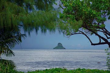 Parc de la plage de Waiâhole sur Frank's Awesome Travels