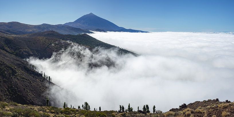 Pico del Teide et nuages d'alizés par Walter G. Allgöwer