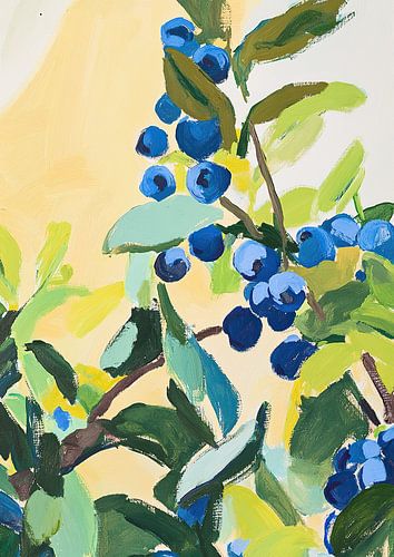 Bosbessen Fauvisme Fruit