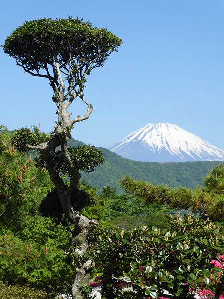 Mount Fuji by Hello Pompoyo