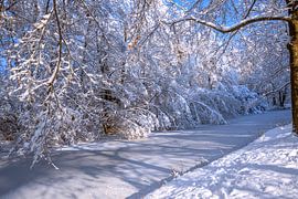 SAISON D'HIVER : PAYSAGE D'HIVER sur Photoart-Naegele