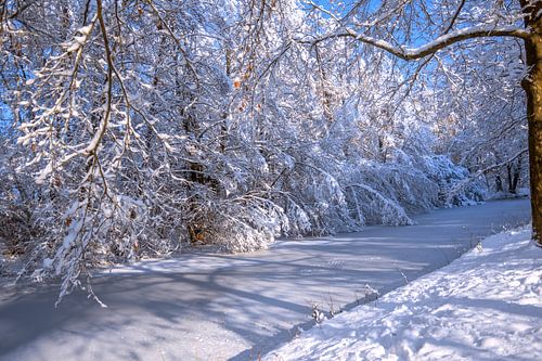 WINTERTIJD : WINTERLANDSCHAP