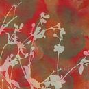 Dromen in de natuur. Bloemen op rood, bruin en terra. van Dina Dankers thumbnail