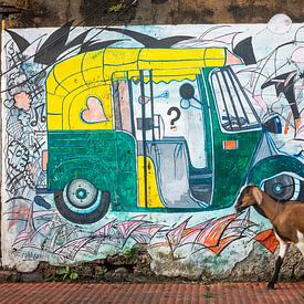 Graffiti India by Sylvia Fransen