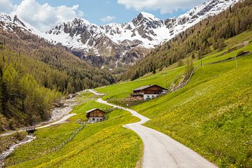 Bergmeister Alm in het Mühlwalder dal bij Lappach, Tauferer Ahrntal, Zuid-Tirol van Christian Müringer
