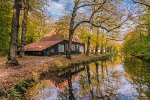L'automne à Bergen