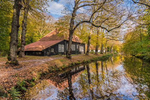 Herfst in Bergen