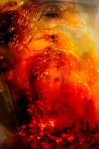 EARLY MORNING GOLDEN GOWN