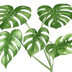 Monstera sous la chaleur du soleil sur AidasignArt