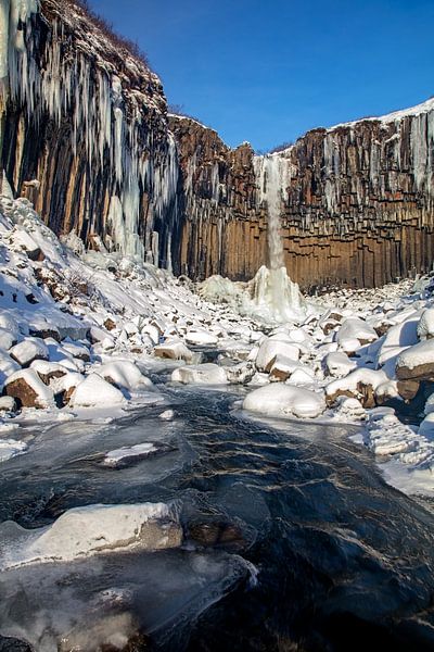 Svartifoss (Schwarzer Wasserfall) in Island 1/2 von Anton de Zeeuw