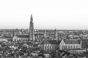 Die Liebfrauenkathedrale in Antwerpen (Panorama)