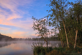 Brouillard matinal au-dessus des lacs de Schwackendorf, un matin de septembre sur BlattArt - Christine Horn
