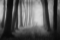 the unknown path