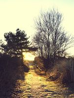 Fußweg zur untergehenden Sonne