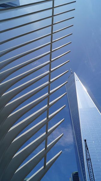 World Trade Center Transportation Hub van ticus media