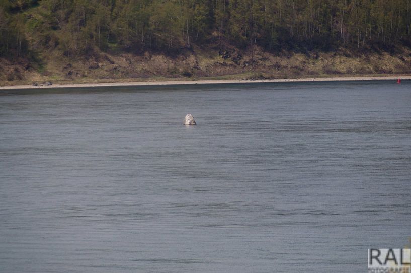 boei in water van Irkutsk von Robert Lotman