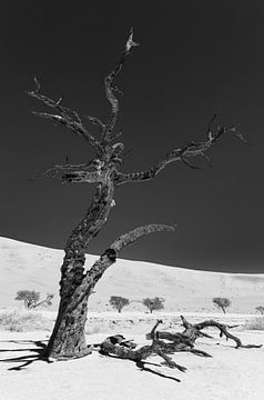 Sossusvlei Namibië (9) Zwart Wit van Adelheid Smitt