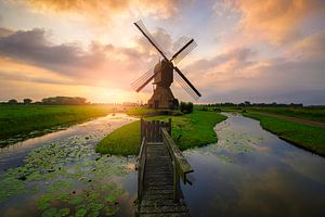 Moulin de Noordeveld à Dussen