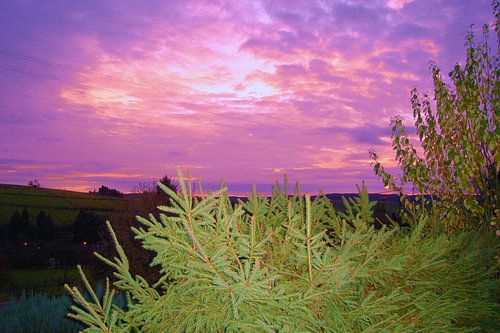purple skies
