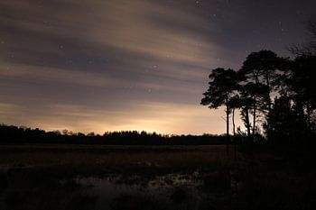 Nature reserve Kleinbylaer