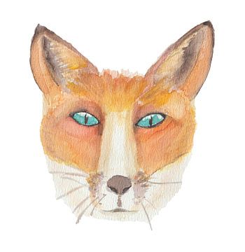 Watercolour Fox (Vulpes vulpes) with white background by Yvette Stevens