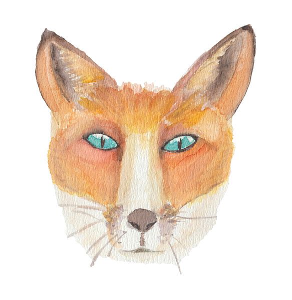 Aquarel Vos (Vulpes vulpes) met witte achtergrond van Yvette Stevens
