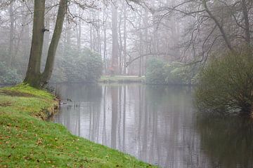 bos van kasteel groeneveld