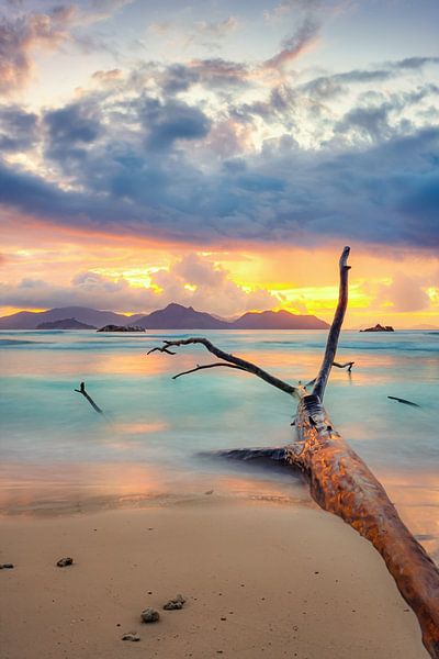 Colors of the Seychelles by Silvio Schoisswohl