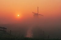 Windmill the Bosmolen