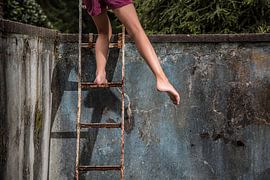 World without water 2 van Wim Roebroek