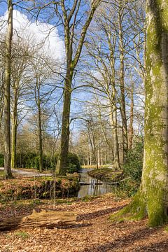 Landgoed De Braak in Drenthe van Hilda Weges