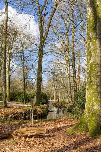 Landgoed De Braak in Drenthe