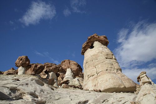 Hoodoo Forest (Rimrocks North) Grand Staircase-Escalante National Monument in zuidelijk Utah, Vereni