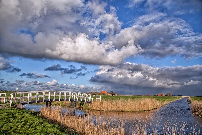 bridge over the fryslan rivers by Willy Sybesma