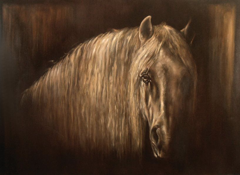 Roman par Paula Collewijn