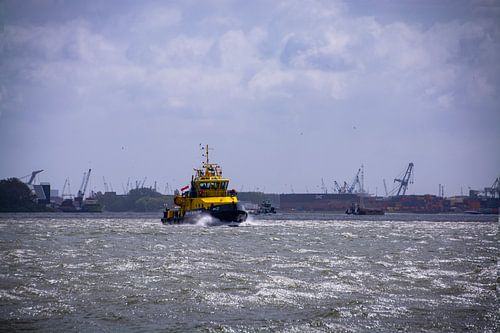 Loodsboot op het Scheur