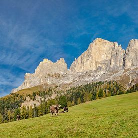 Rosengarten mountains, Welschnofen - Nova Levante, South Tyrol - Alto Adige, Italy by Rene van der Meer